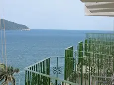 Acapulco Tortuga 