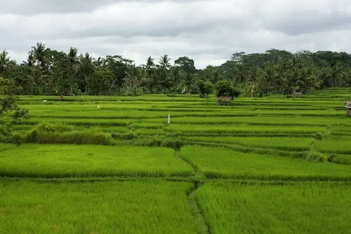 The Ubud Village Resort & Spa 