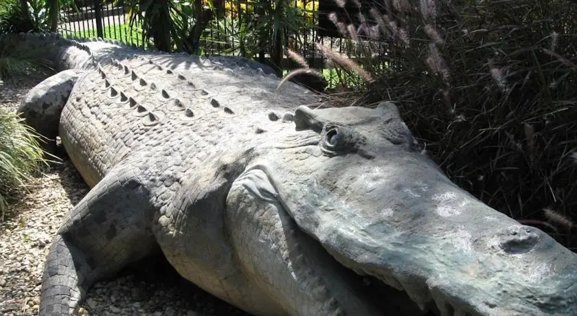 Cairns Gateway Resort 