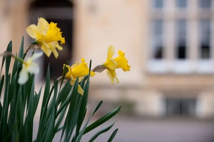 Cotswold Grange Hotel 