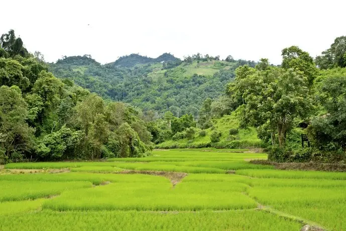 Hmong Hilltribe Lodge 