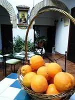 Casa de los Naranjos 