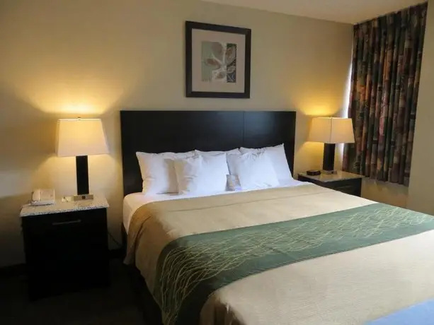 Comfort Inn & Suites Downtown Edmonton 