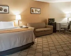 Comfort Inn Fredericton 