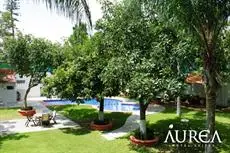 Aurea Hotel and Suites 