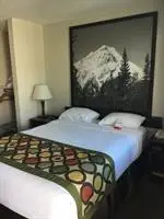 Super 8 by Wyndham Kelowna BC Hotel 