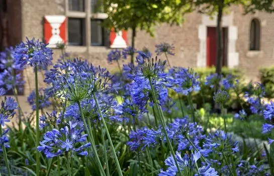 Kruisherenhotel Maastricht 