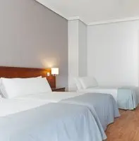 Tryp Madrid Cibeles Hotel 