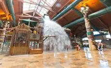 Great Wolf Lodge Resort 