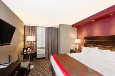 Ramada by Wyndham Niagara Falls by the River 