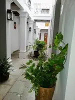 Hotel Aitana Oaxaca 