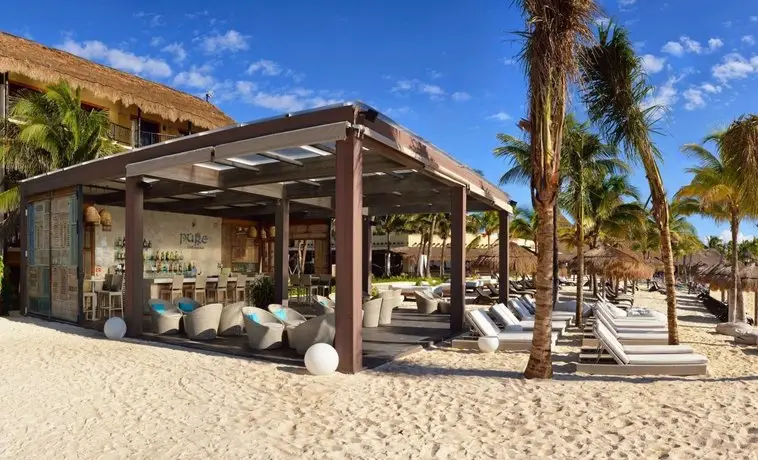 Catalonia Yucatan Beach - All Inclusive 