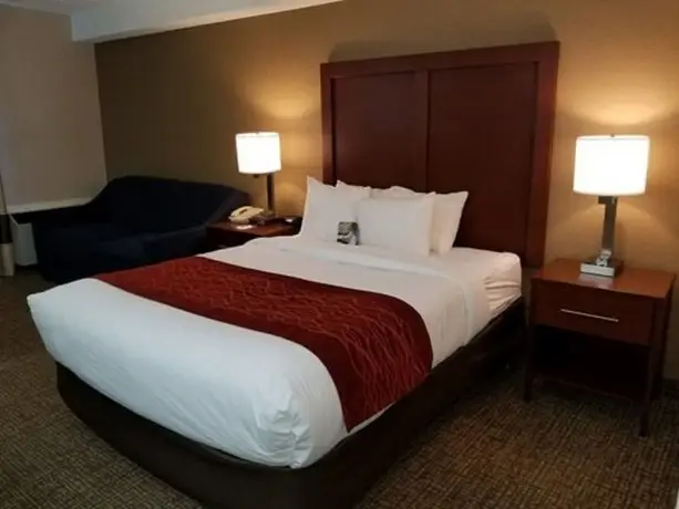 Comfort Inn Toronto North 