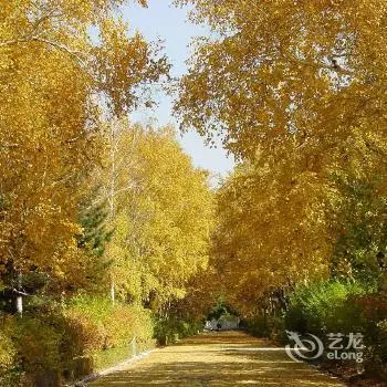 Changchun Clear Moon Apartment by South Lake Hotel 