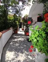 Pagoda Hotel Ischia 