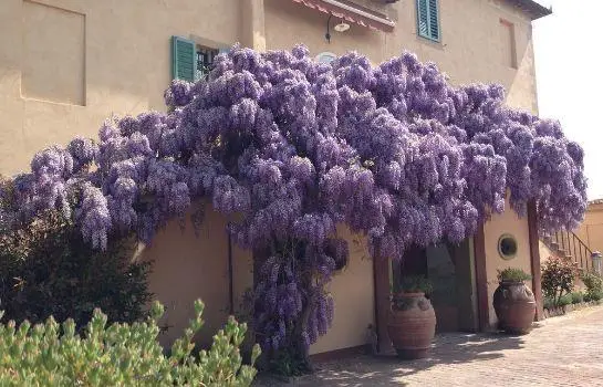 Hotel Palazzo di Valli