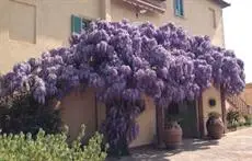 Hotel Palazzo di Valli 