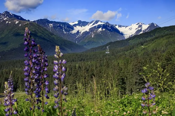 Alyeska Resort 