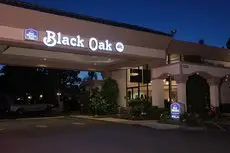 Best Western PLUS Black Oak 