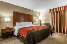 Comfort Inn & Suites Denver 