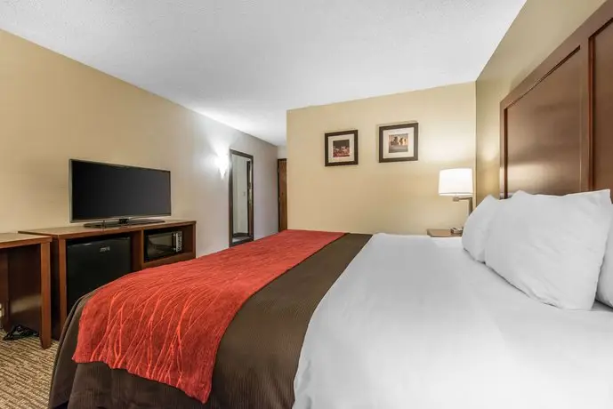 Comfort Inn & Suites Denver 