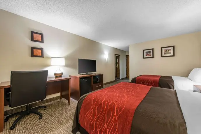 Comfort Inn & Suites Denver 