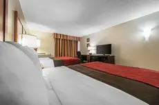 Comfort Inn & Suites Denver 