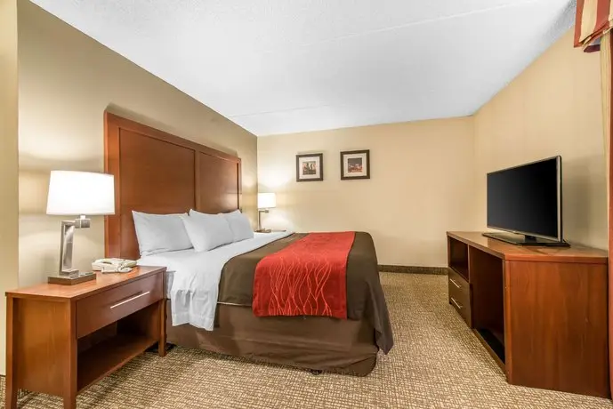 Comfort Inn & Suites Denver 