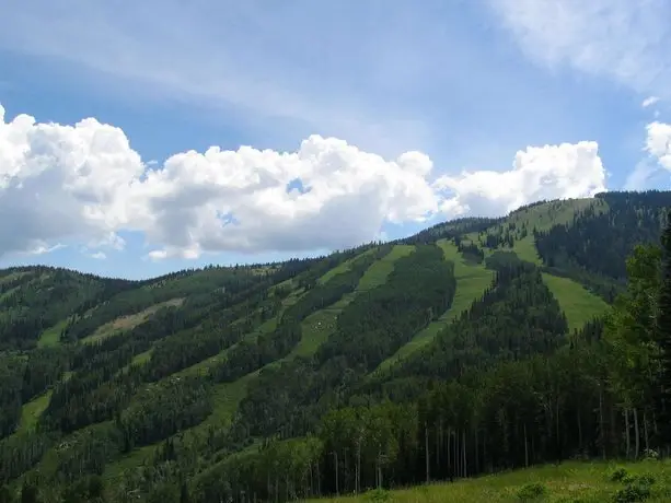 Hampton Inn & Suites Steamboat Springs 