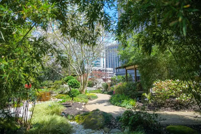 Grand Hyatt Atlanta in Buckhead 