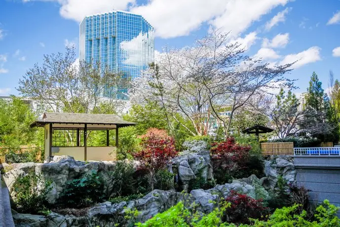 Grand Hyatt Atlanta in Buckhead 