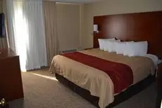 Comfort Inn Savannah 