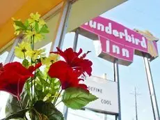 The Thunderbird Inn 