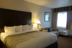 Comfort Stay Inn 