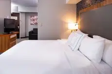 SpringHill Suites Pittsburgh North Shore 