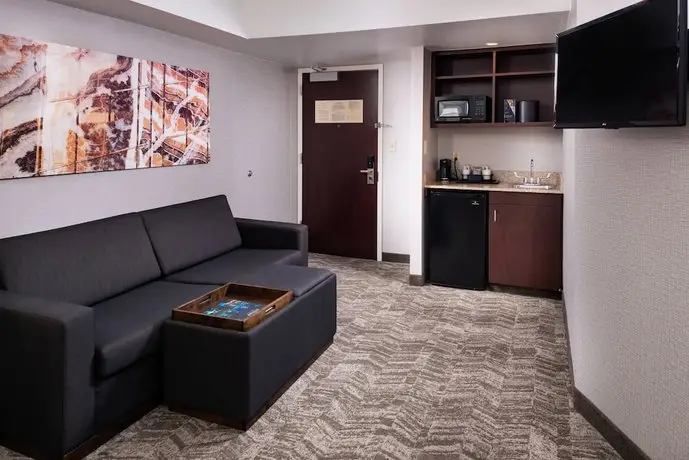 SpringHill Suites Pittsburgh North Shore 