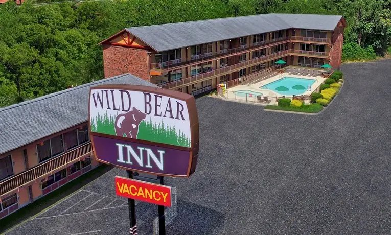 Wild Bear Inn 