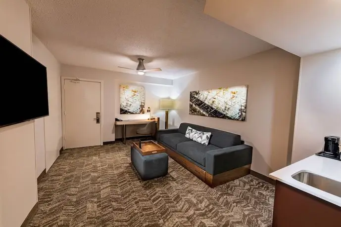 SpringHill Suites Houston Medical Center/NRG Park