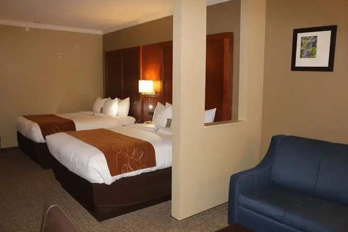 Comfort Suites New Braunfels 