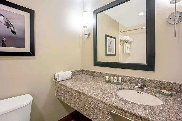 La Quinta Inn & Suites Houston North-Spring 