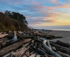 Kalaloch Lodge 