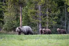 Four Seasons Resort Jackson Hole 