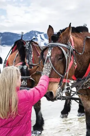 Four Seasons Resort Jackson Hole 