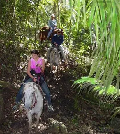 Banana Bank Lodge & Jungle Horseback Adventures 