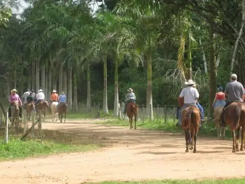 Banana Bank Lodge & Jungle Horseback Adventures 