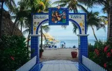 Blue Tang Inn 