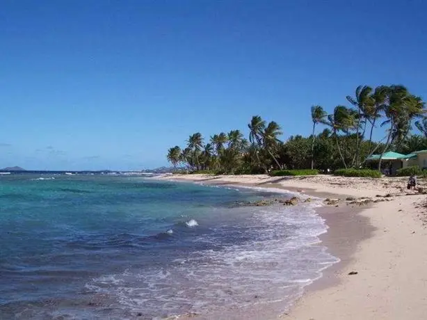 Hibiscus Beach Resort Saint Croix 