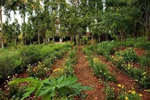 Indus Valley Ayurvedic Centre 