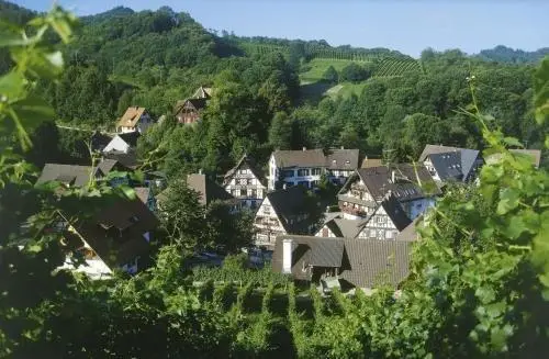 Schwarzwaldhotel Hotel Brandbach 