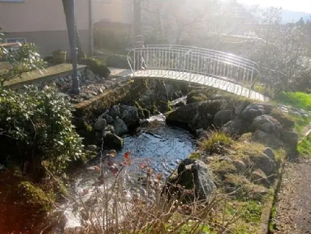 Schwarzwaldhotel Hotel Brandbach 